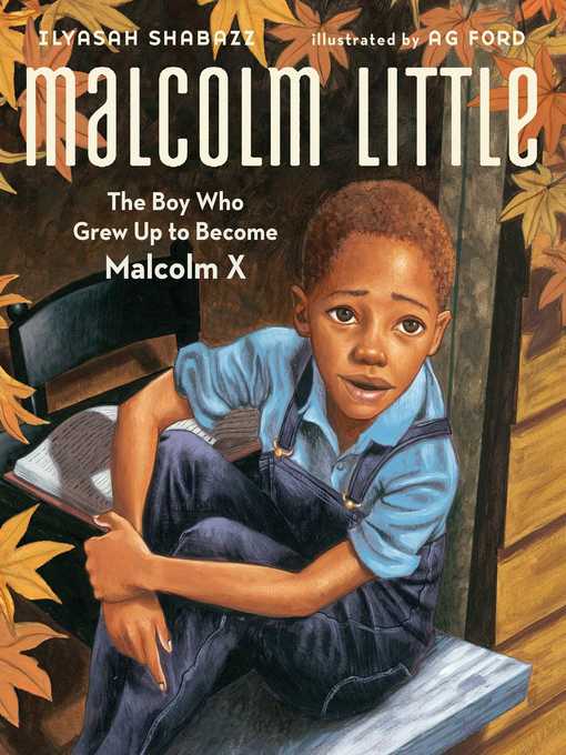 Cover image for Malcolm Little